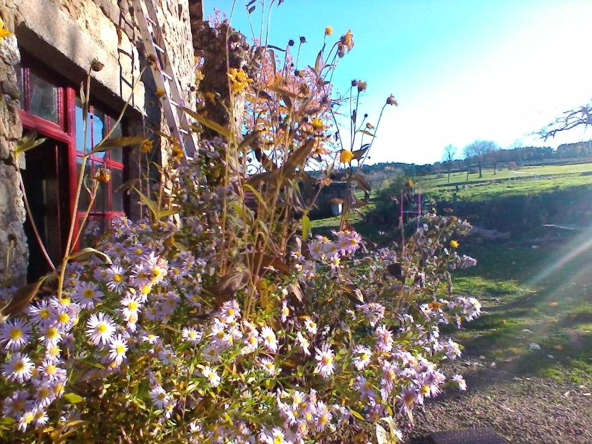 Bed and Breakfast Le Marconnes Saint-Arcons-de-Barges Екстер'єр фото